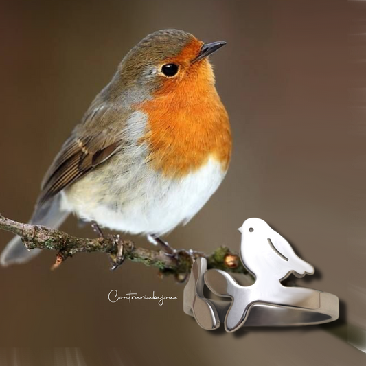 Anello ragazza e pettirosso / anello pettirosso / anello uccellino - ContrariaBijoux