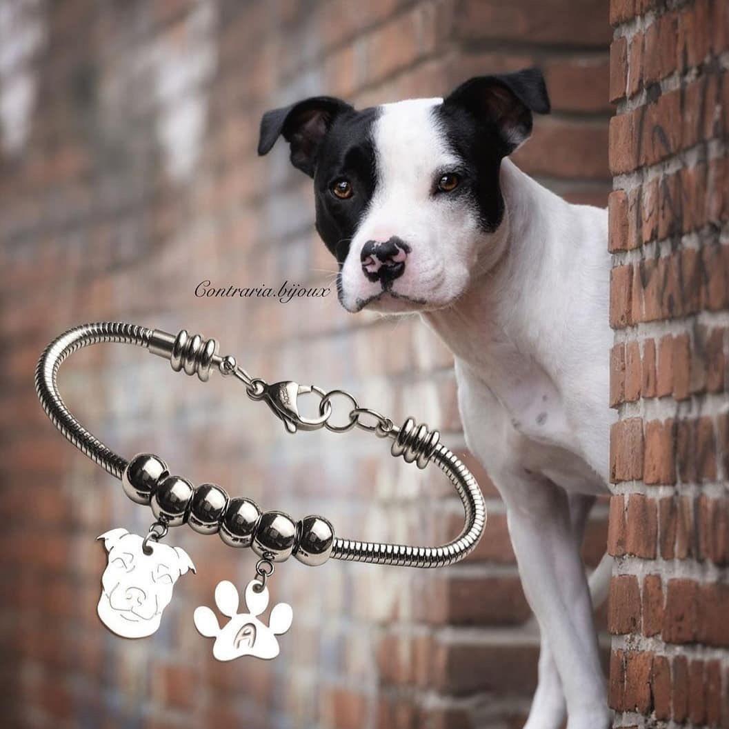 Bracciale Cane Pitbull e zampa con iniziale incisa