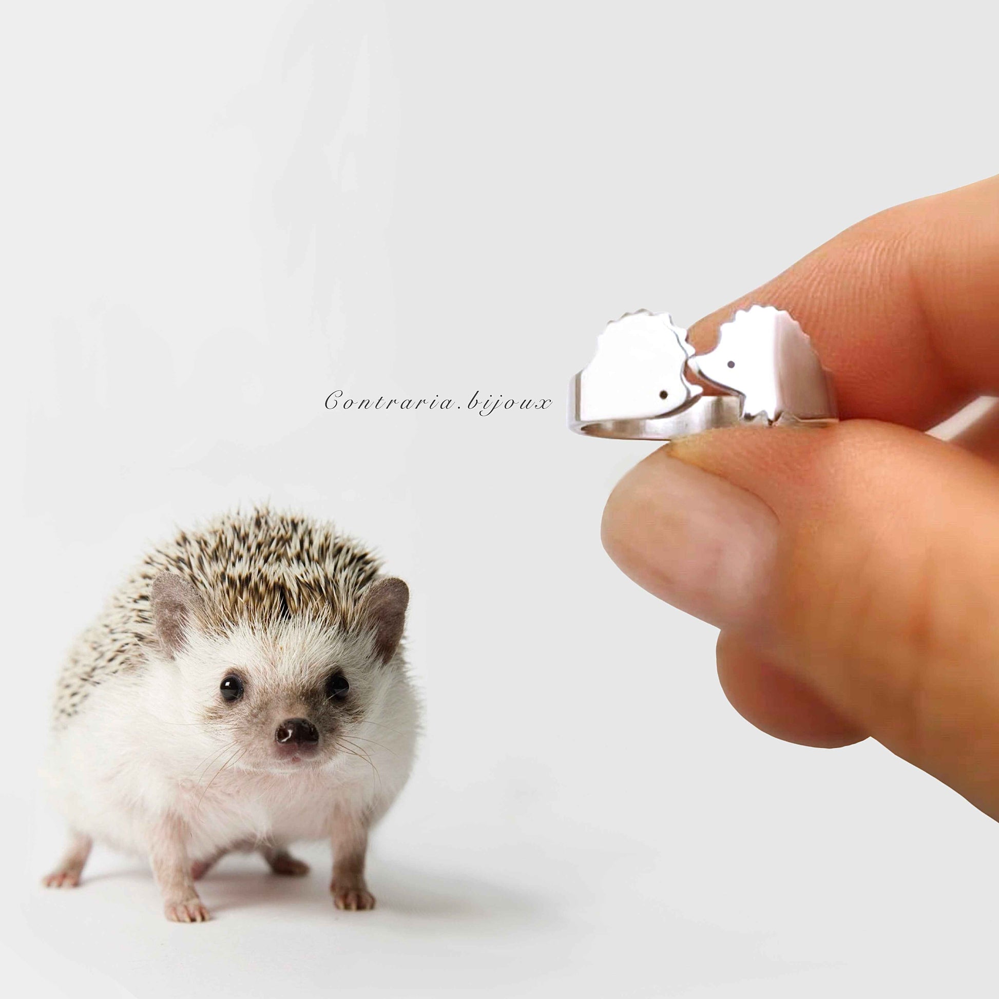 Anello Riccio innamorato