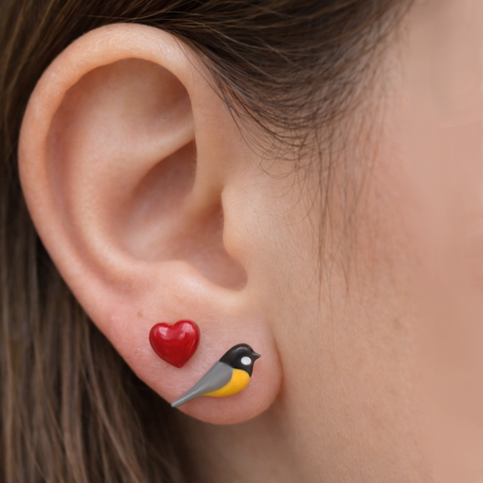 Orecchini Cinciallegra e Cuore / Orecchini uccellini