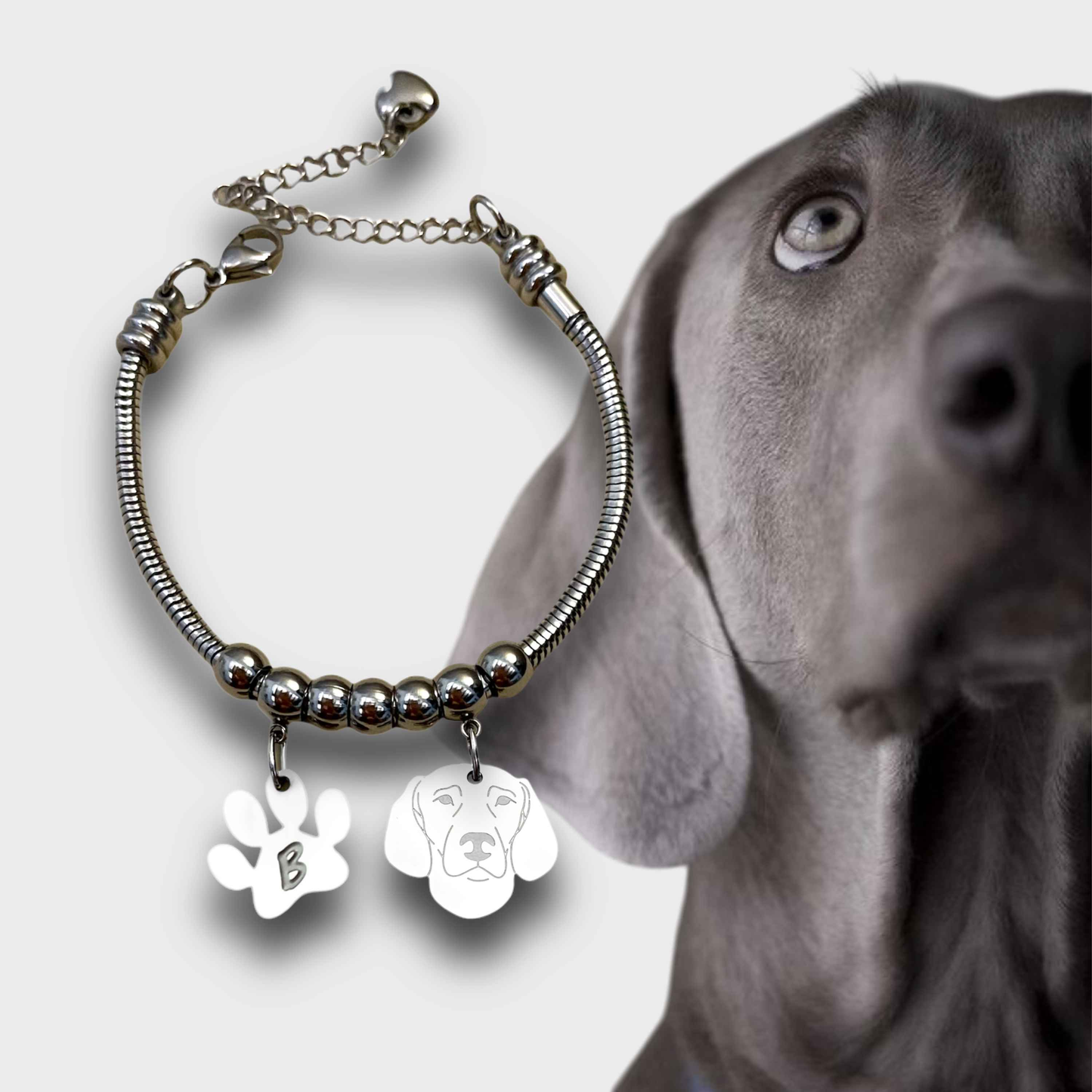 Bracciale Cane Segugio weimaraner e zampa con iniziale incisa