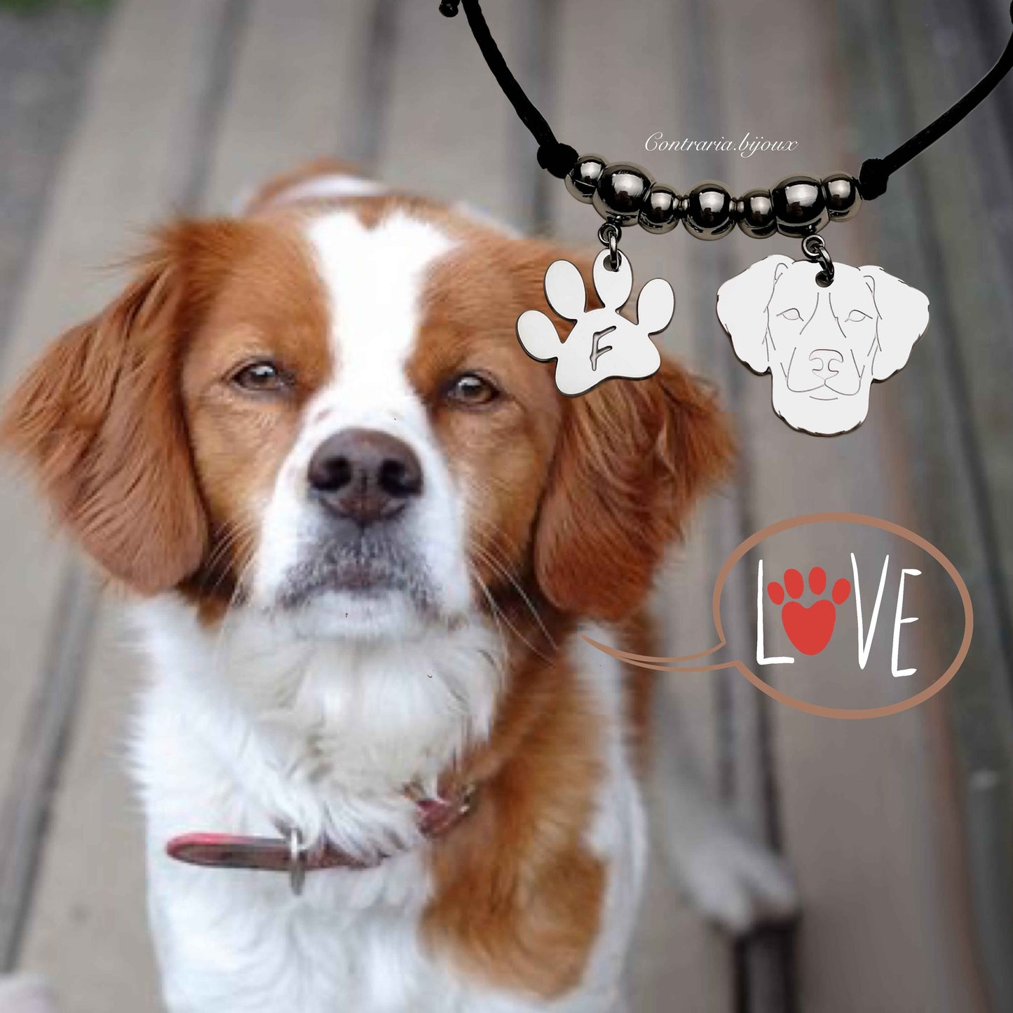 Bracciale cane Epagneul Breton e zampa con lettera incisa, Bracciale ciondolo breton