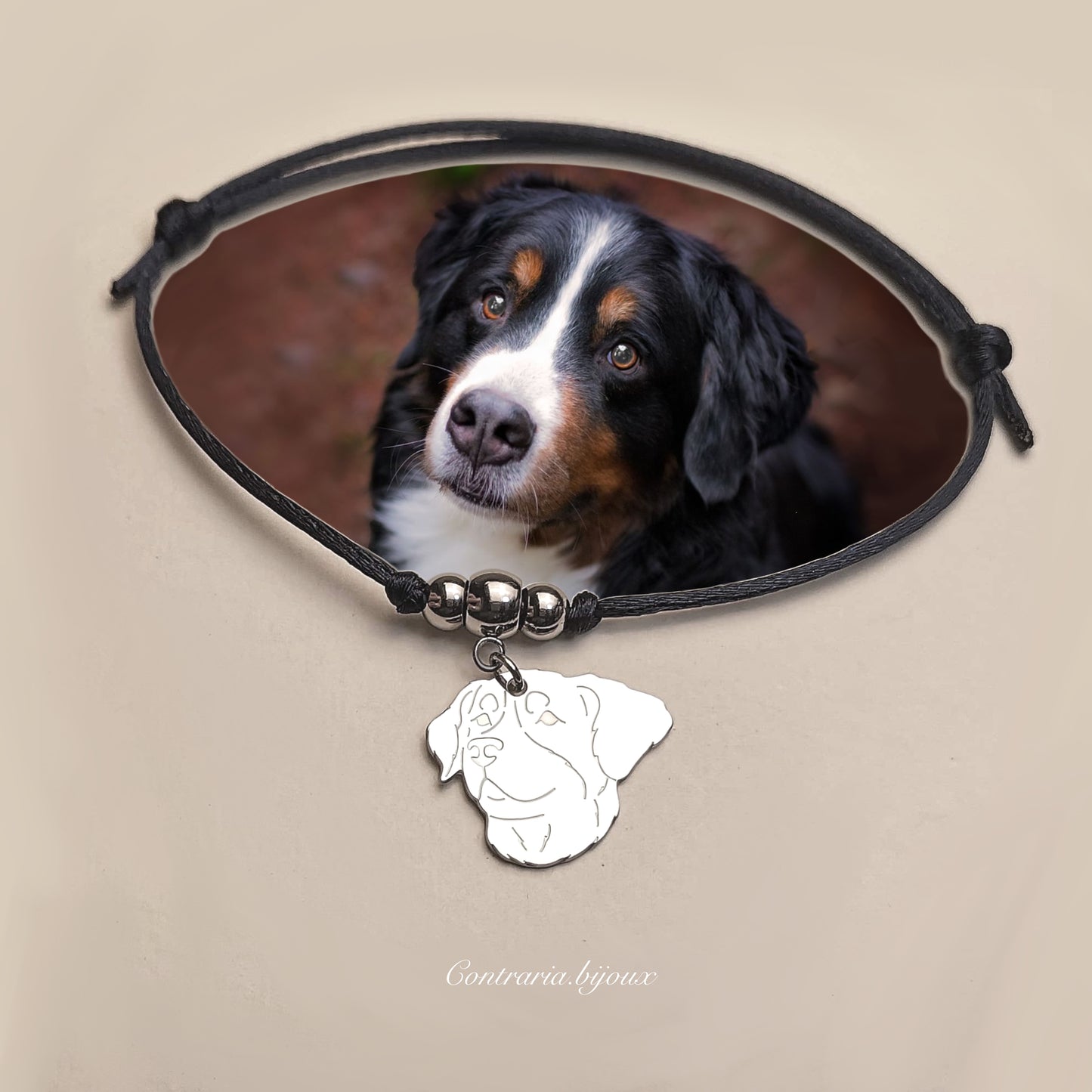 Bracciale cane Bovaro del Bernese e zampa con iniziale incisa