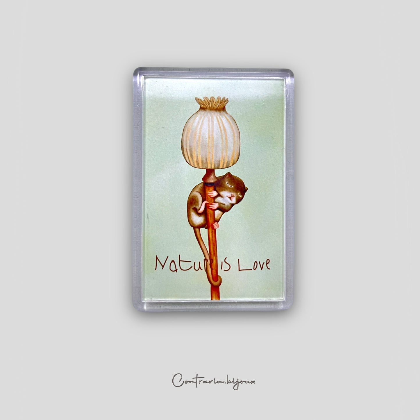 Calamite Illustrate - ContrariaBijoux