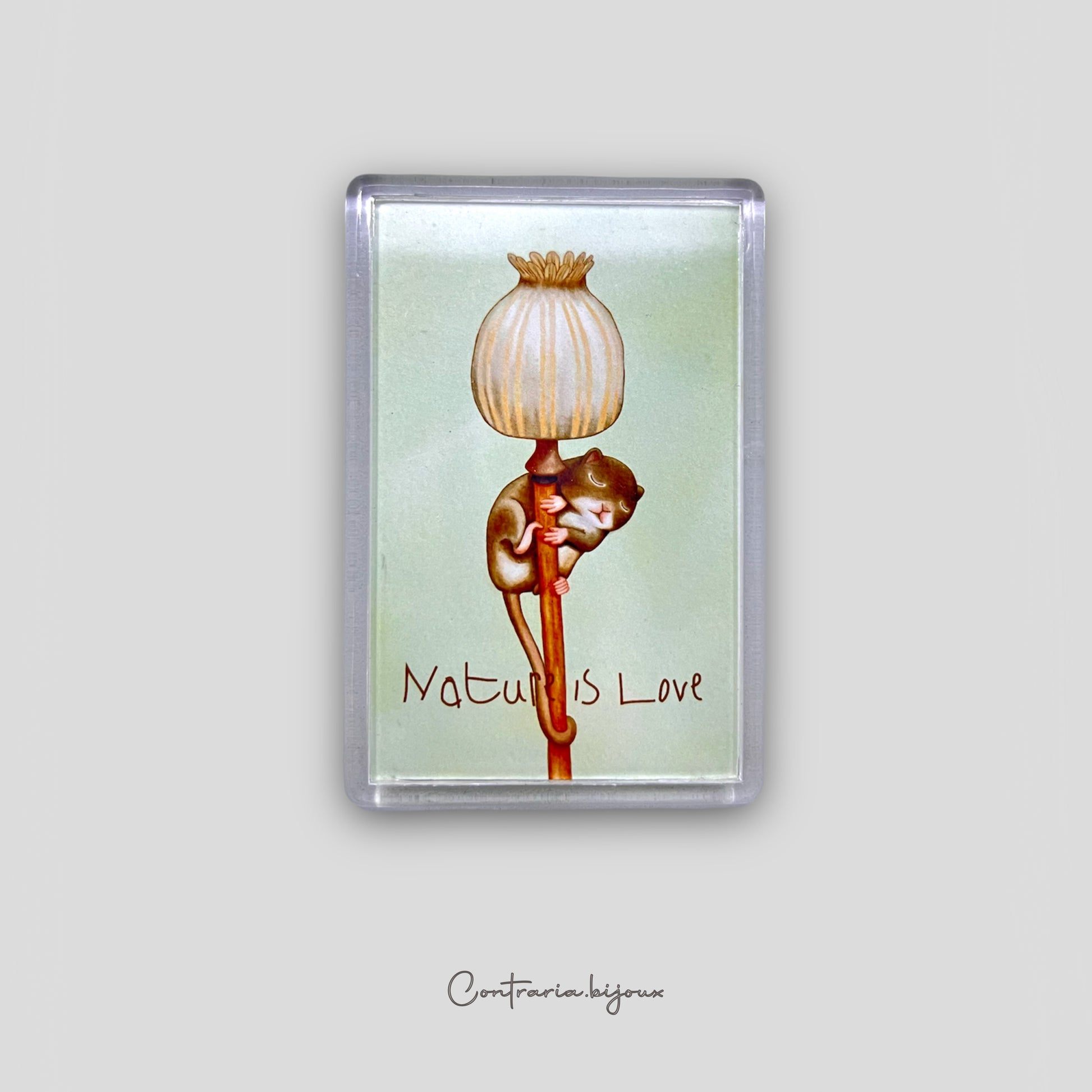 Calamite Illustrate - ContrariaBijoux