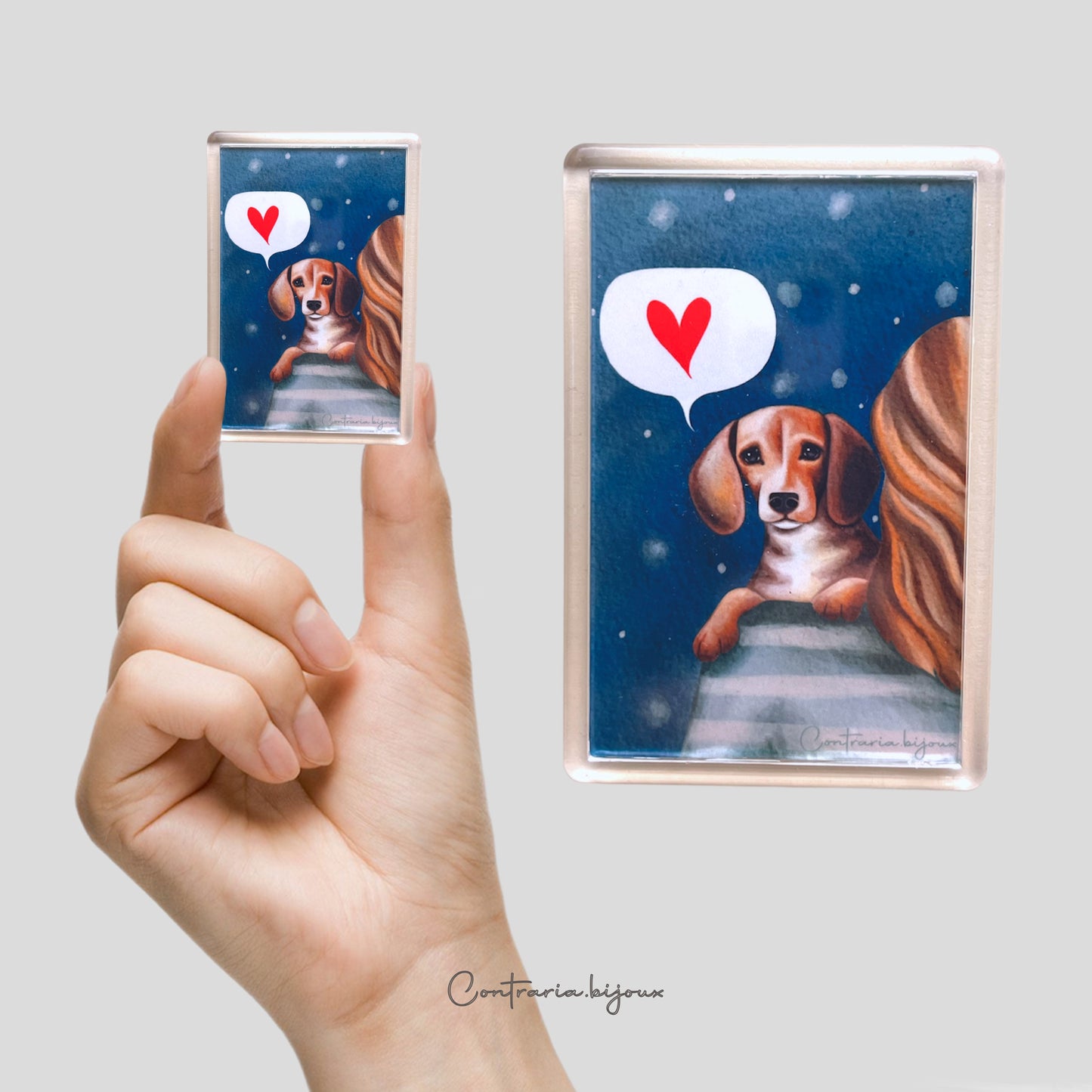 Calamite Illustrate - ContrariaBijoux