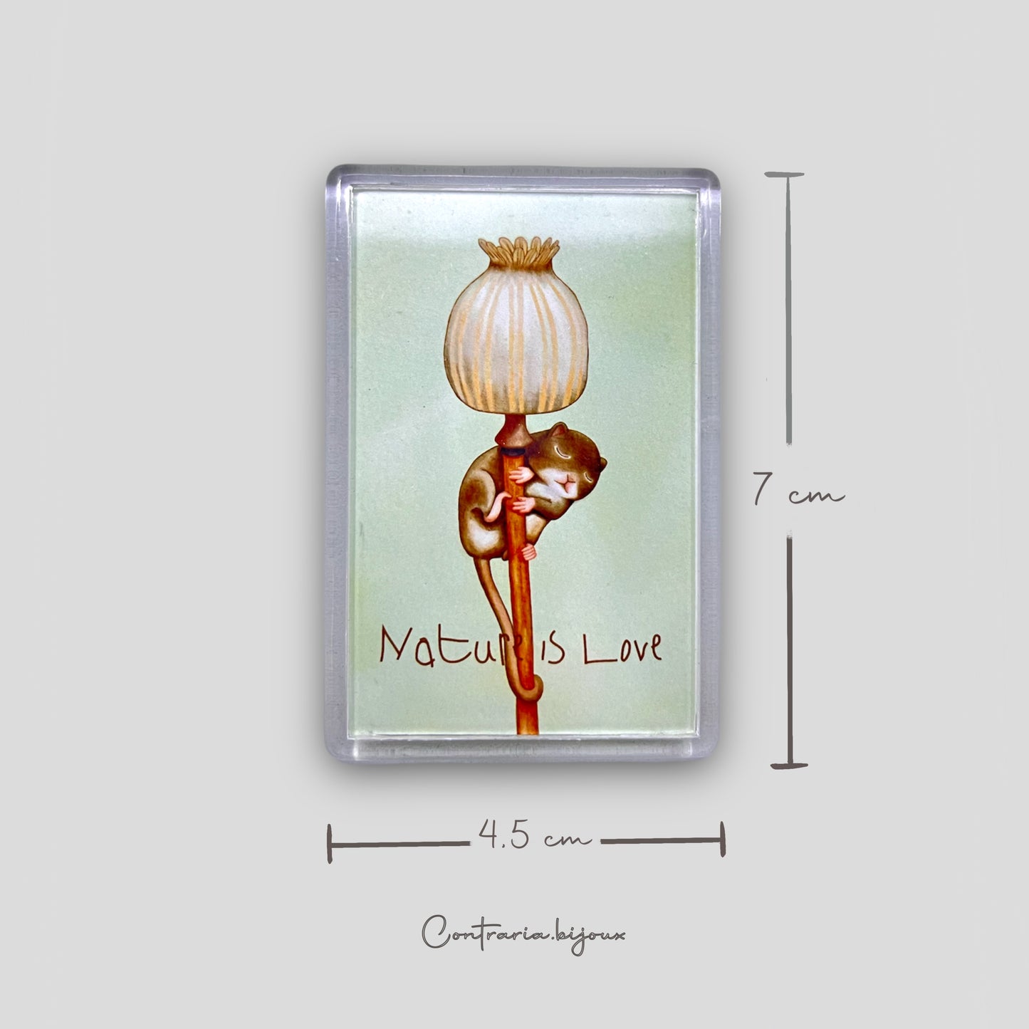 Calamite Illustrate - ContrariaBijoux