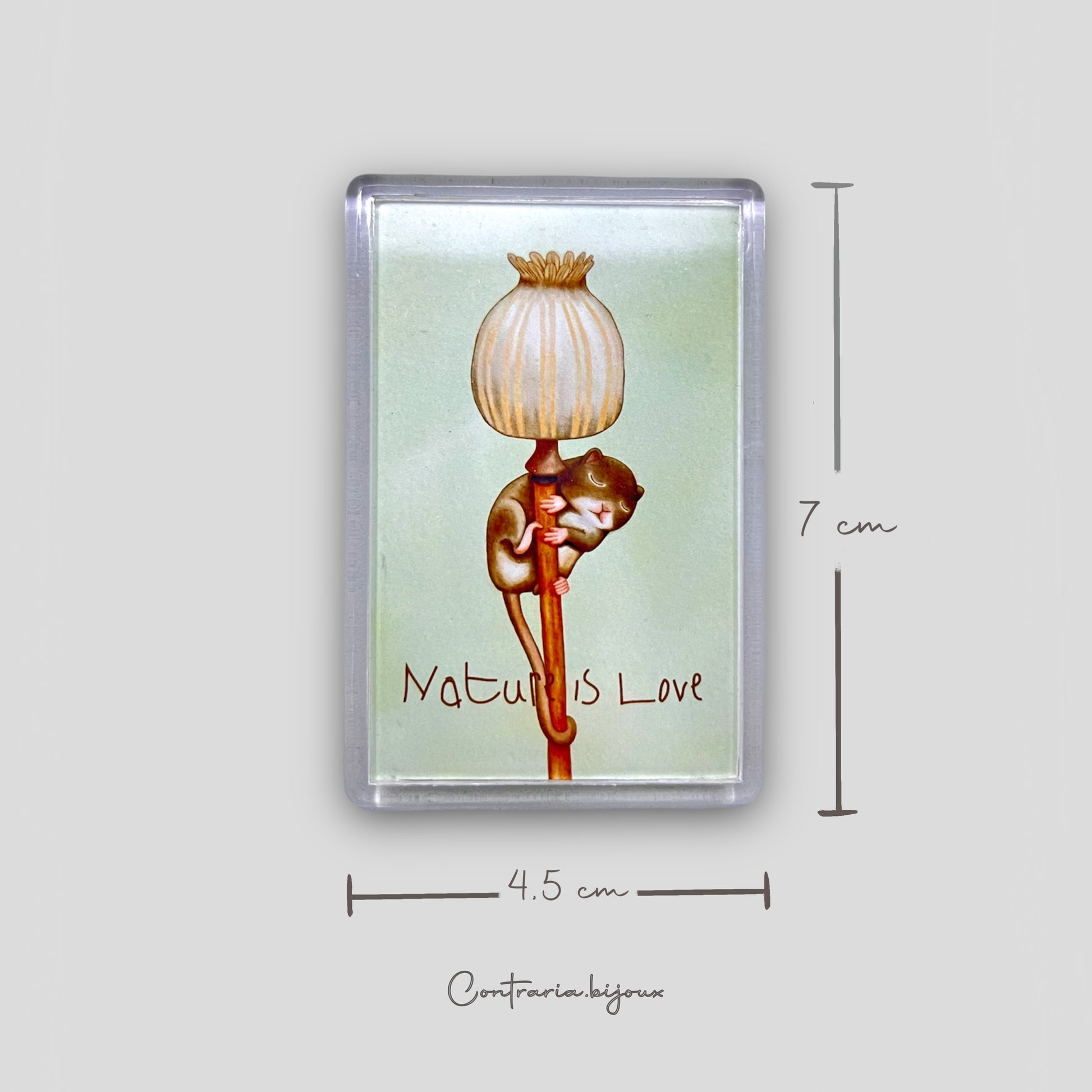 Calamite Illustrate - ContrariaBijoux