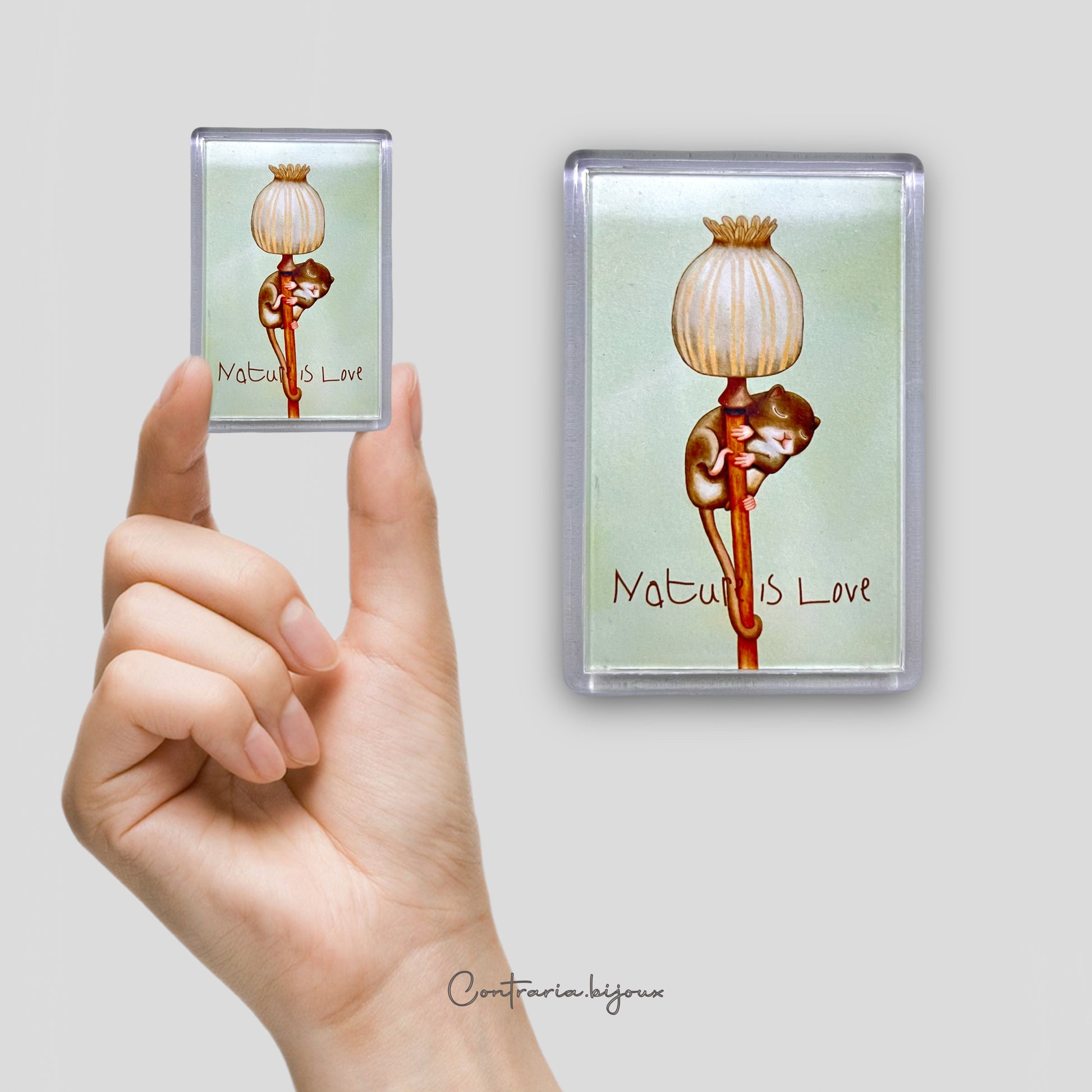 Calamite Illustrate - ContrariaBijoux