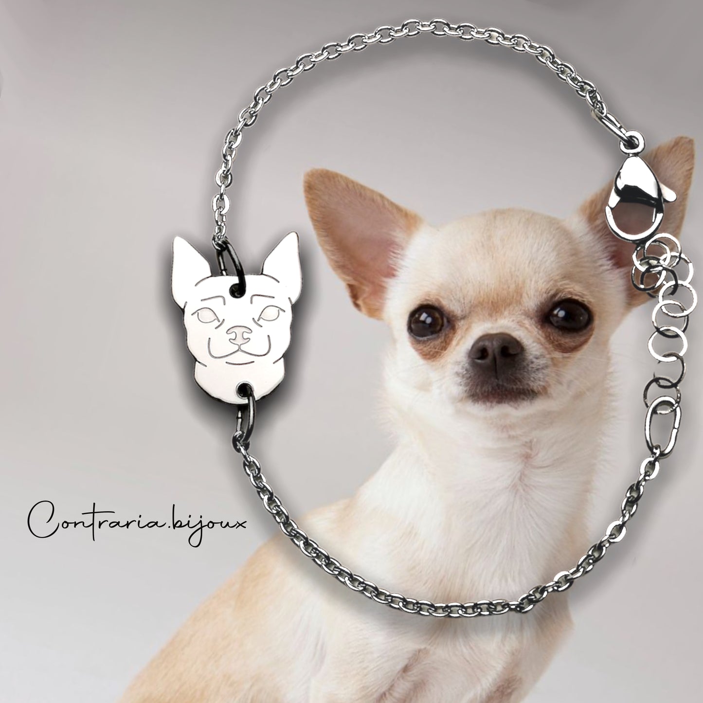 Bracciale cane Chihuahua e zampa con iniziale incisa