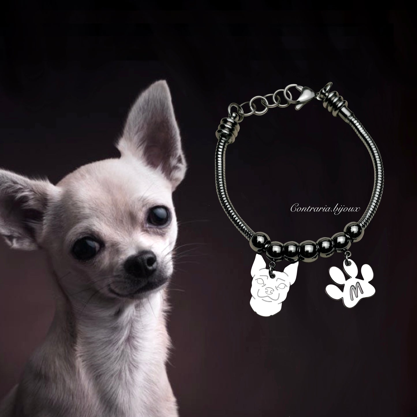 Bracciale cane Chihuahua e zampa con iniziale incisa