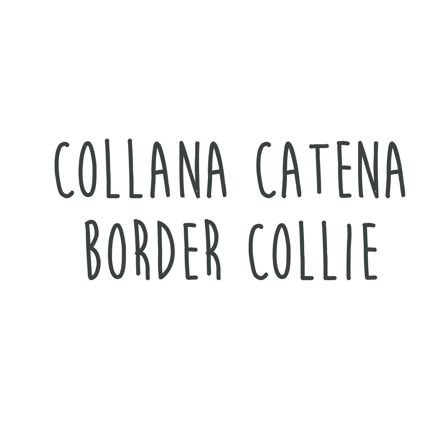Collana Border Collie
